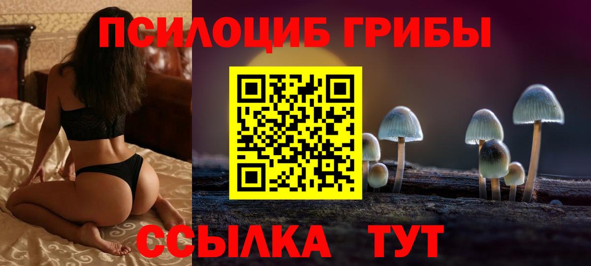 Псилоцибиновые грибы Psilocybe Донецк