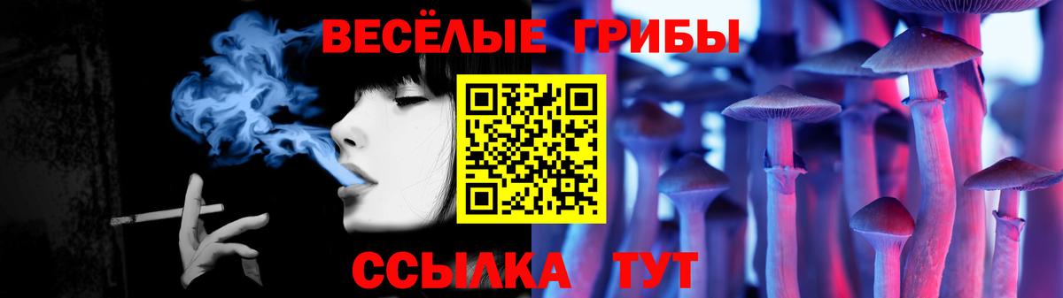 Донецк  Псилоцибиновые грибы Magic Shrooms  Вход с VPN  Галлюциногенные грибы GOLDEN TEACHER 